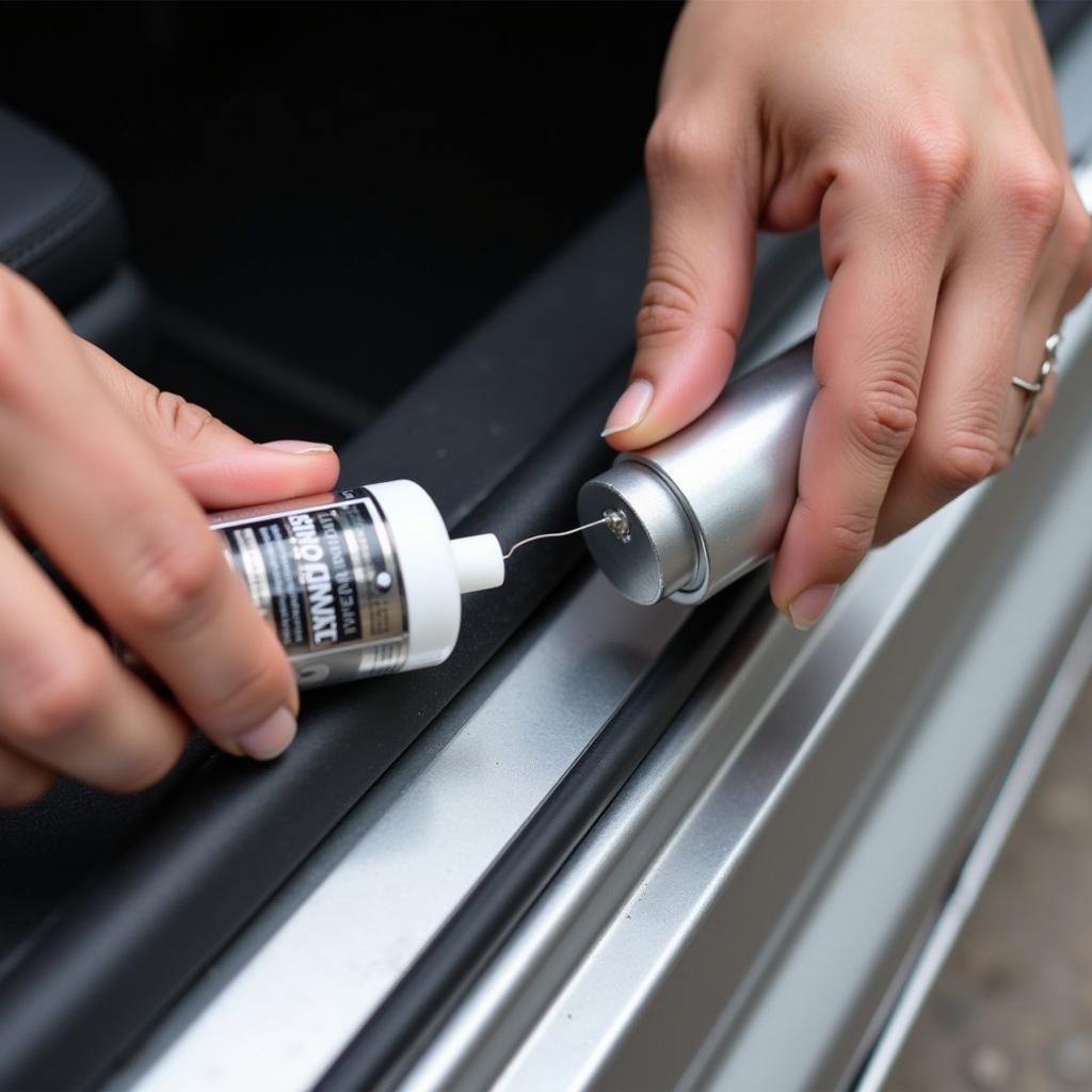 Applying Silicone Lubricant to a Car Door Seal