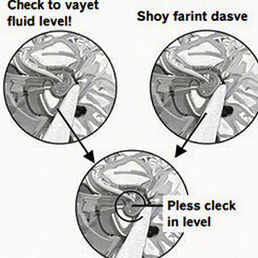 Checking Brake Fluid Level