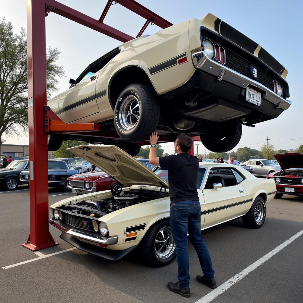 Car Auction Inspection