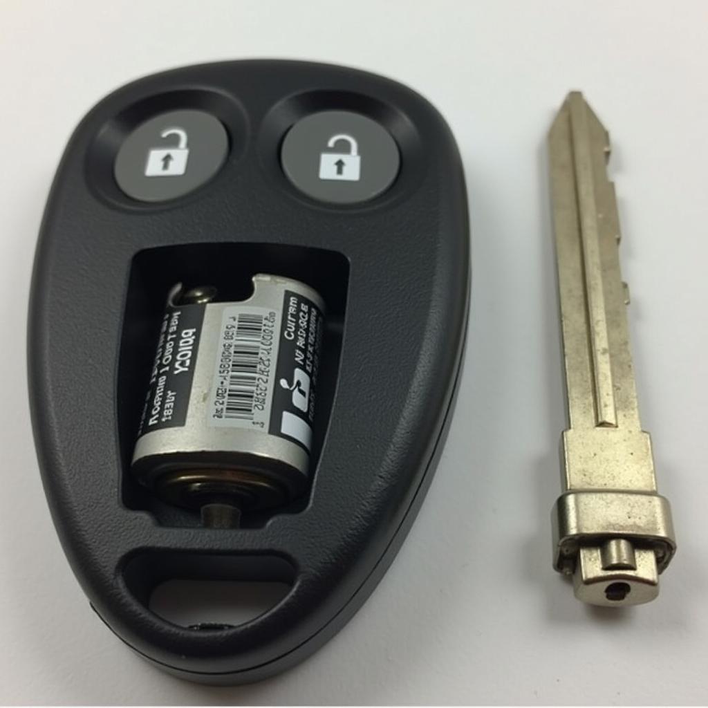 Car Key Remote Battery Replacement