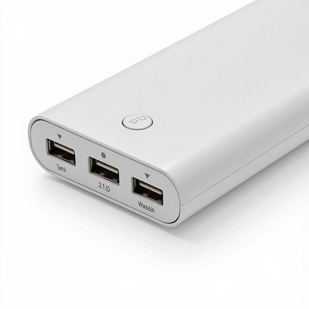 Power Bank Charging Ports