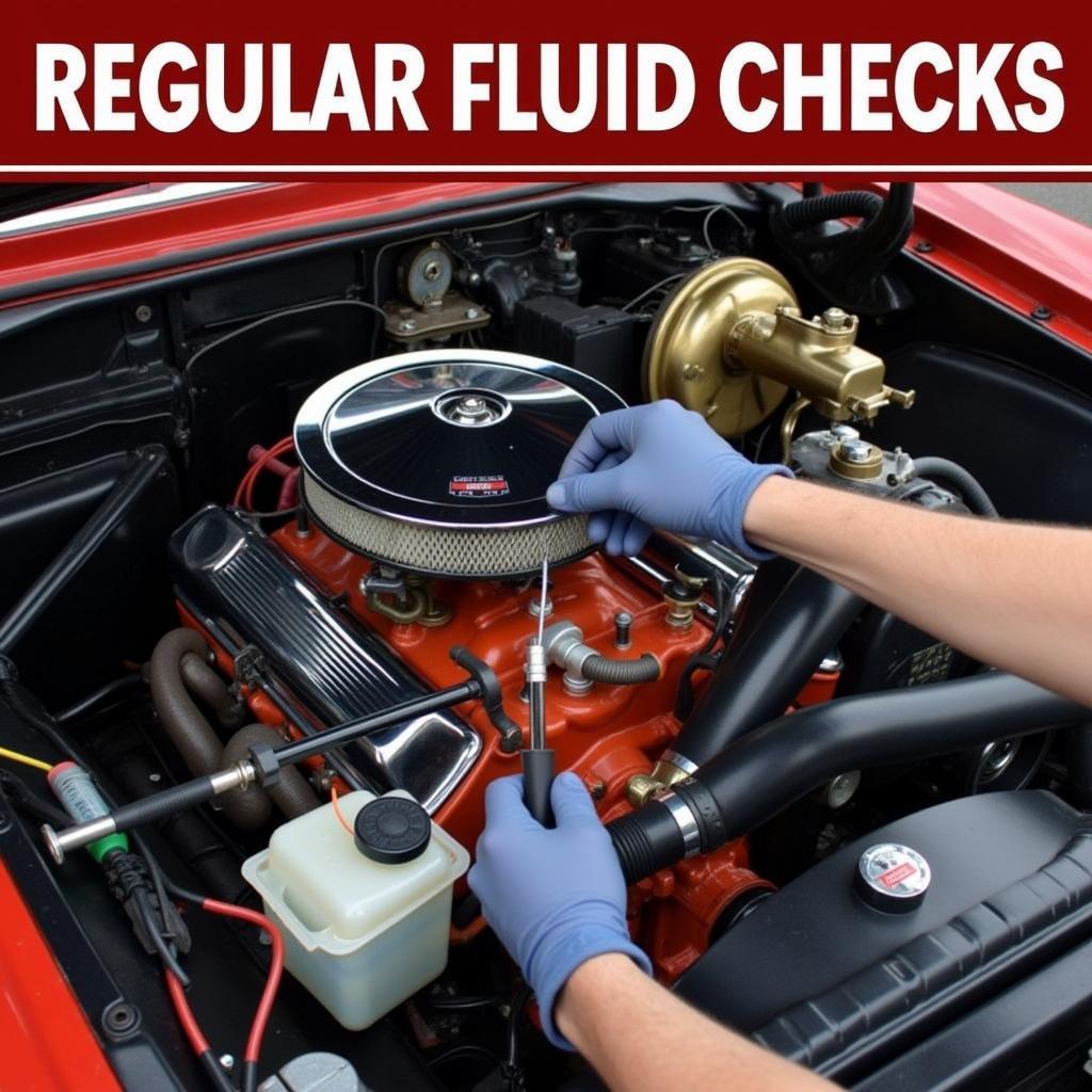 Checking Fluids in a Classic Car