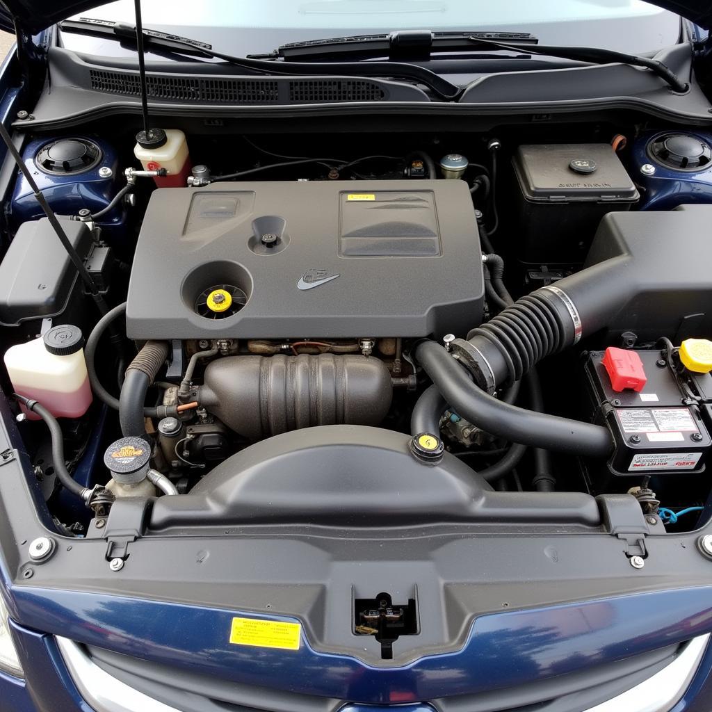 Clean Car Engine Compartment