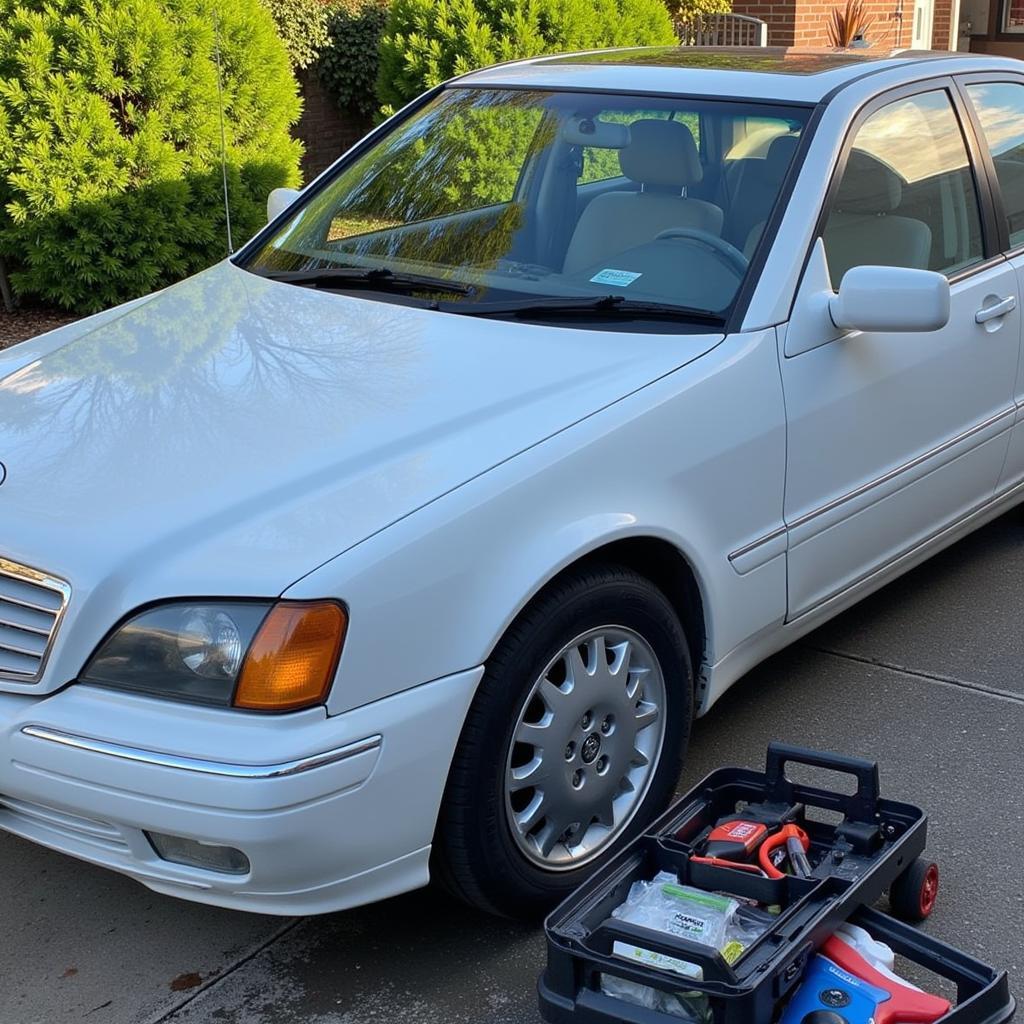 Finished Car Maintenance on Driveway