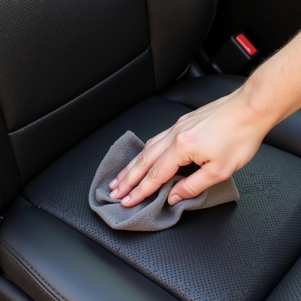 Applying Foxy Fix Leather Cleaner to Car Seats