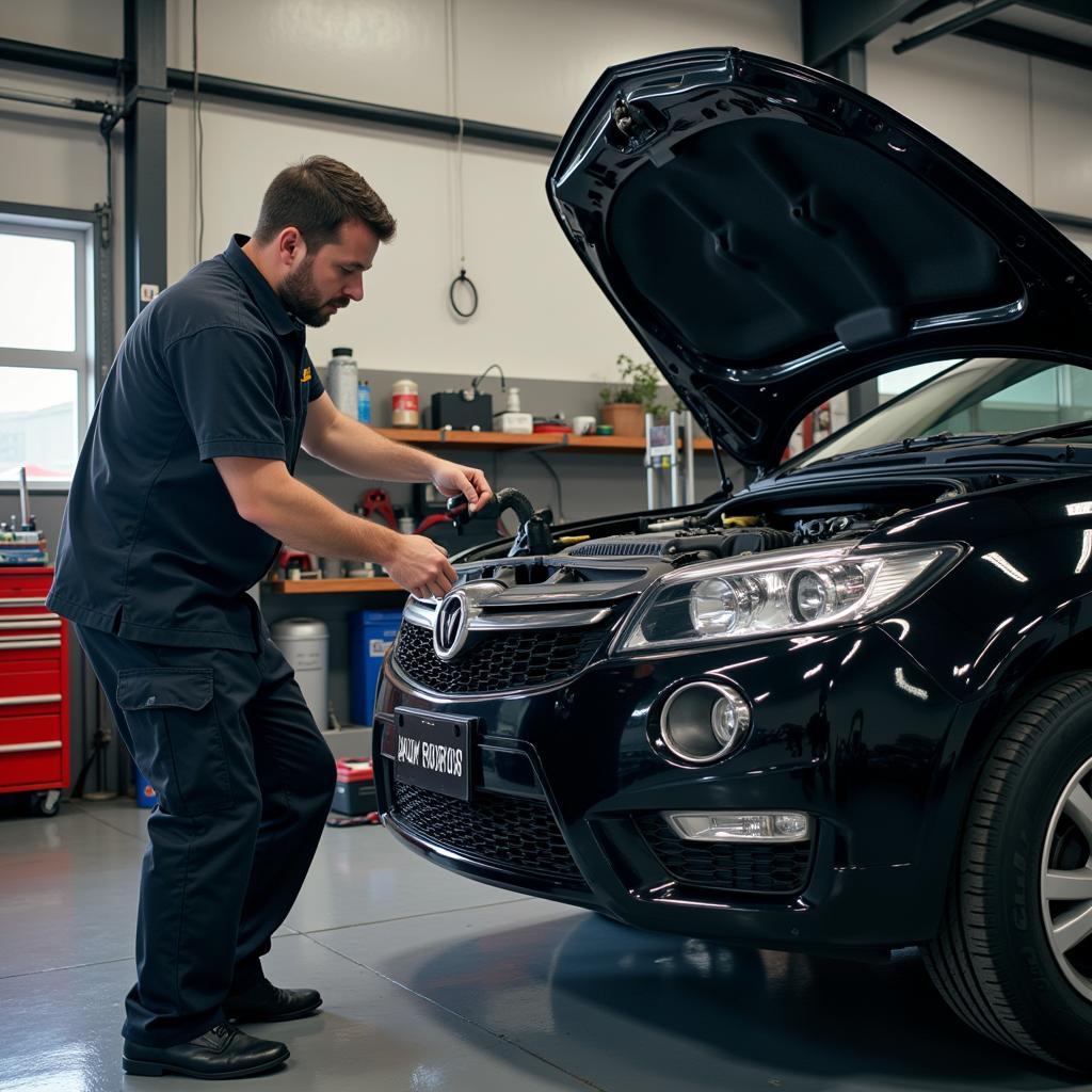 Car maintenance in Wellington