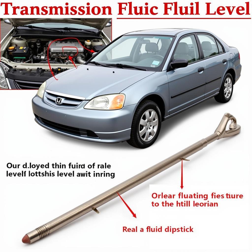 Checking Transmission Fluid in a 2003 Honda Civic