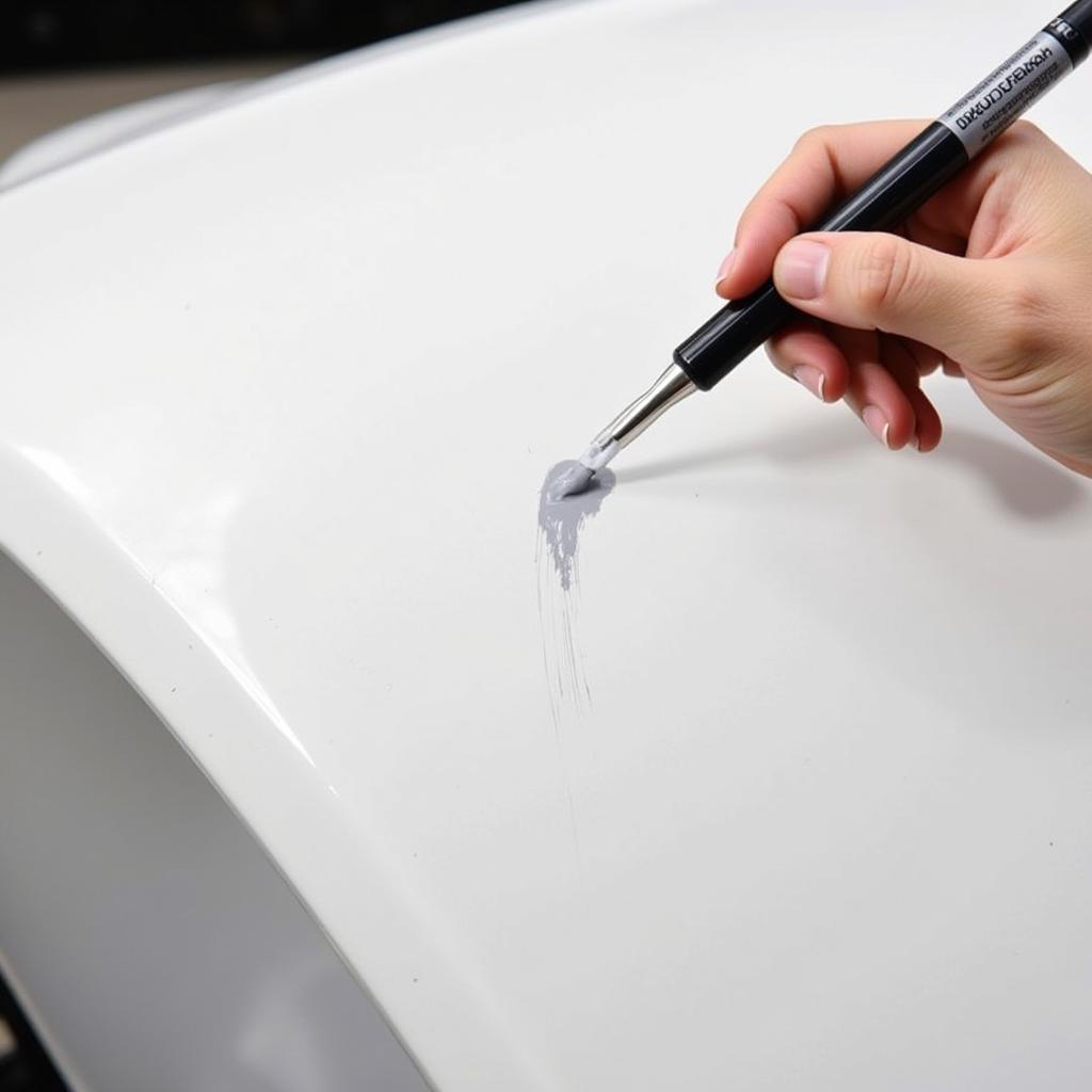 Applying Touch-Up Paint to a White Car