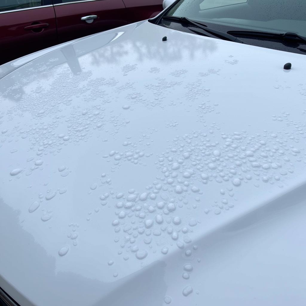 Assessing Hail Damage on a Car After a Hailstorm