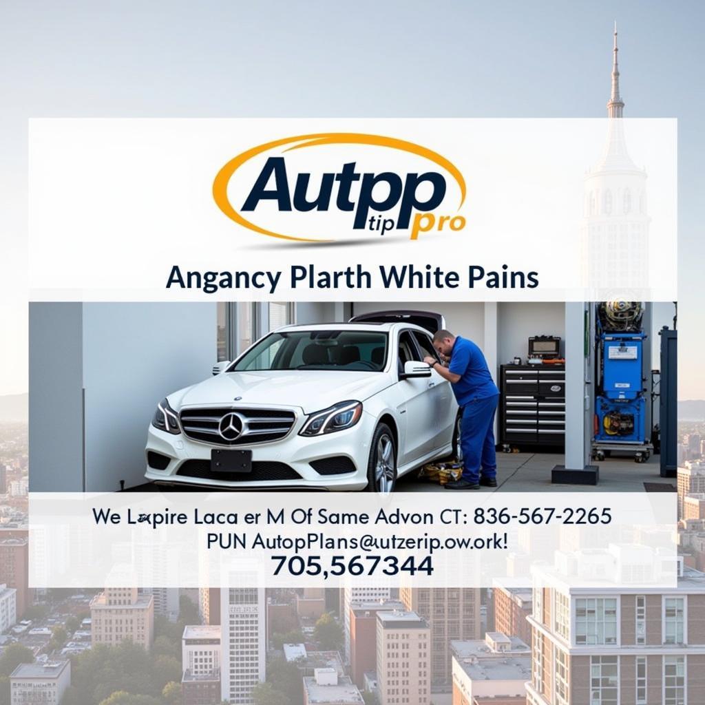 Autotippro Car Maintenance Services in White Plains