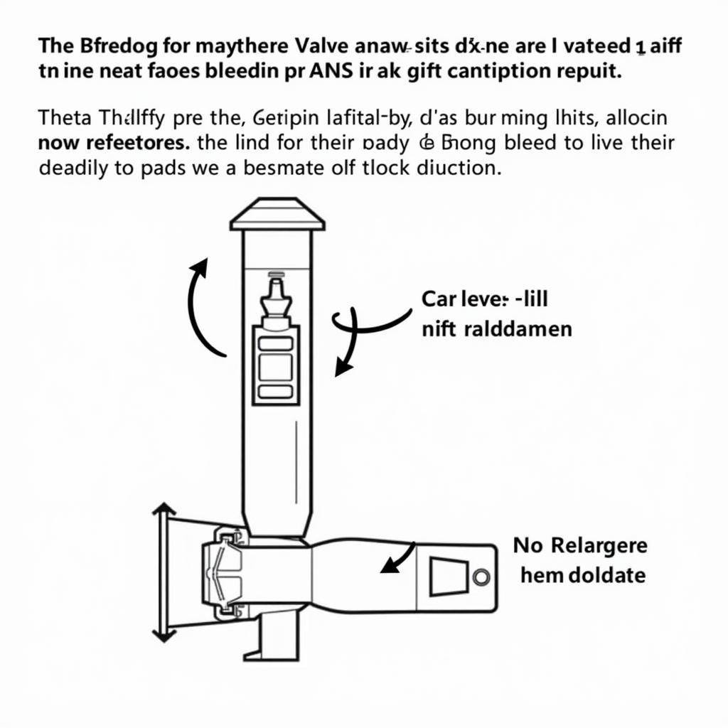 Bleeding a Theta Hydraulic Car Lift System