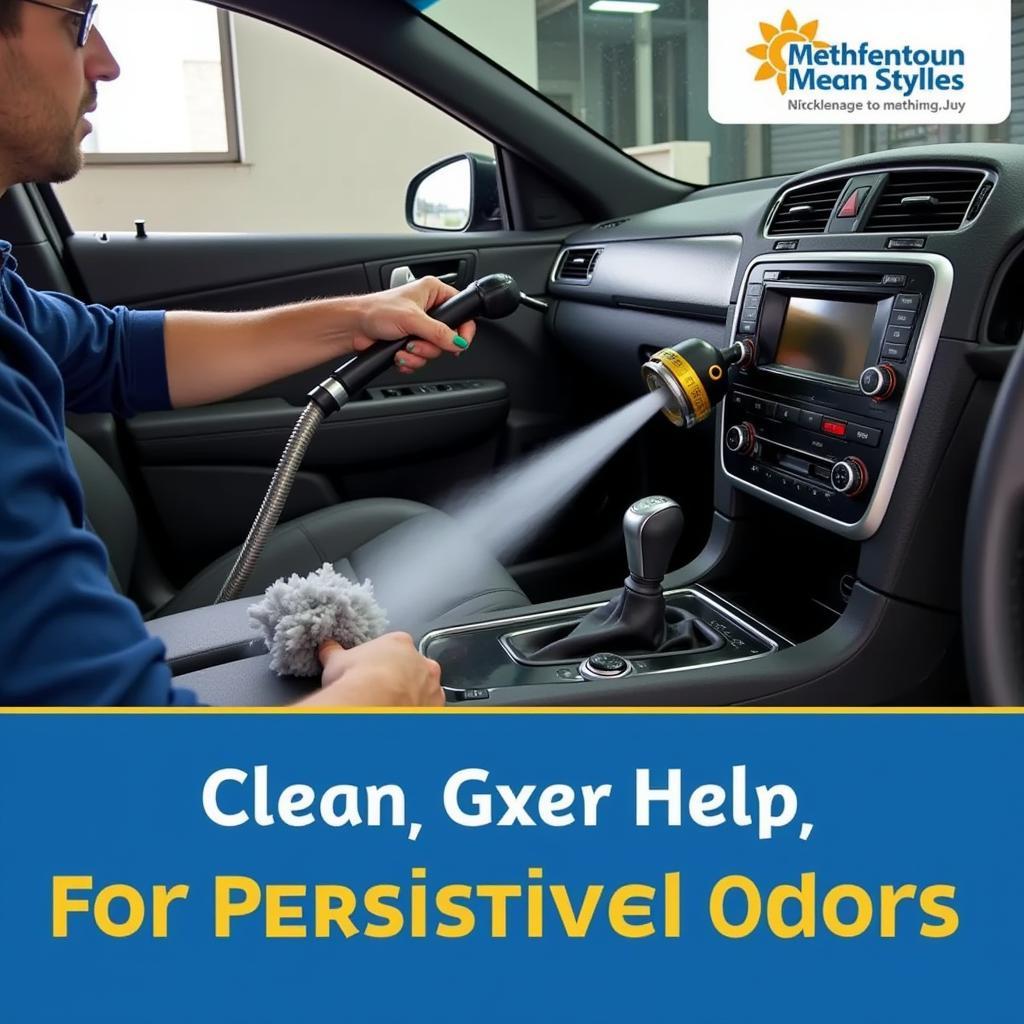 Car AC Professional Cleaning