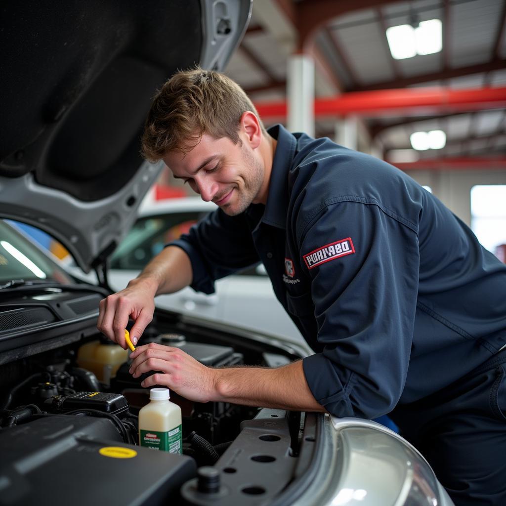 Cedar Rapids Car Maintenance Fluid Check