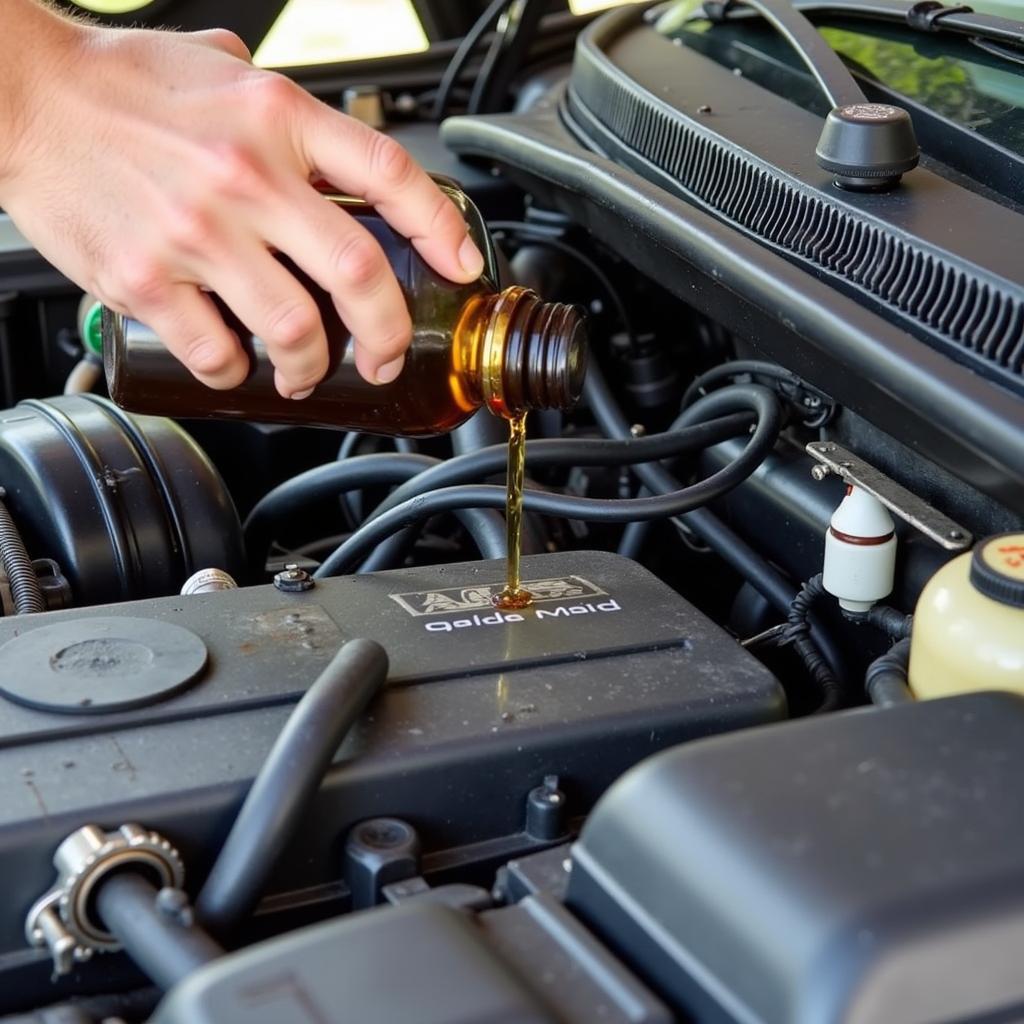 Checking Fluids in a Beater Car