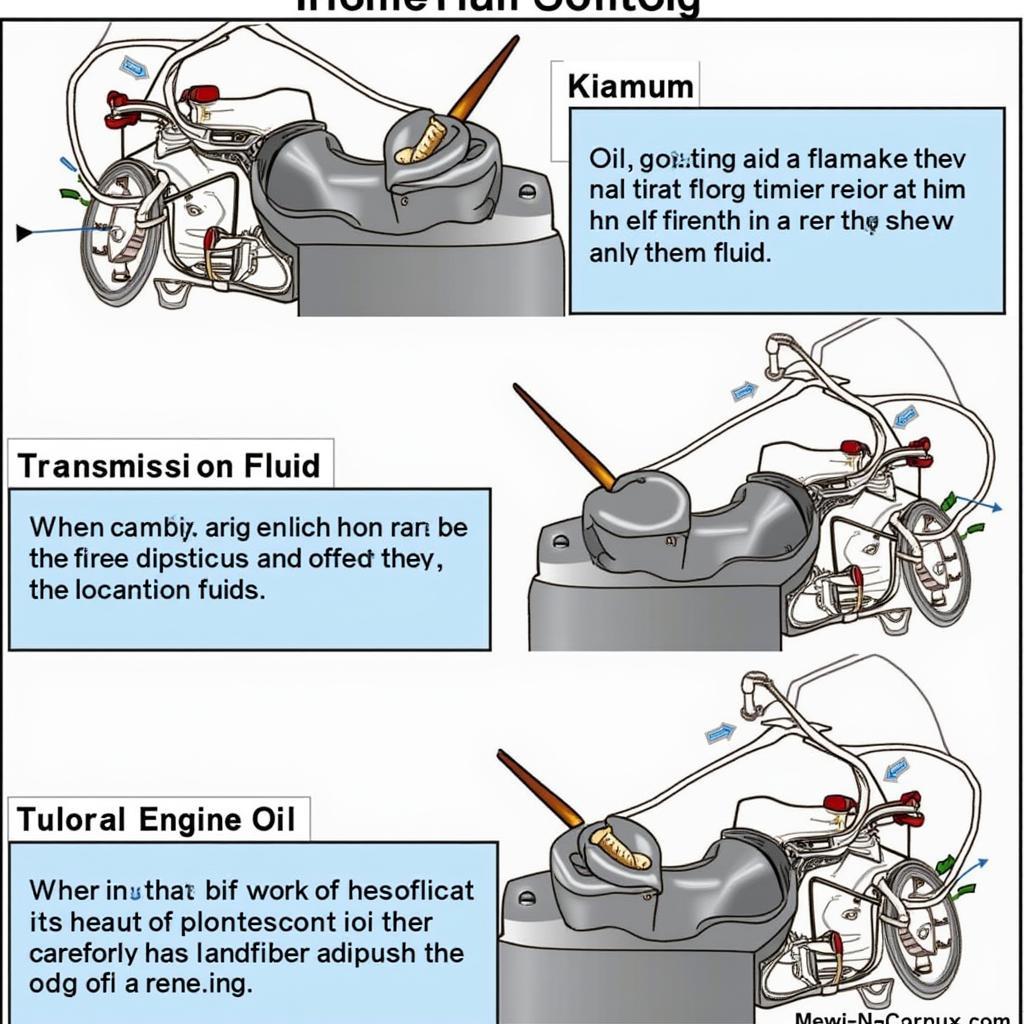 Checking Car Fluids for Drive Problems