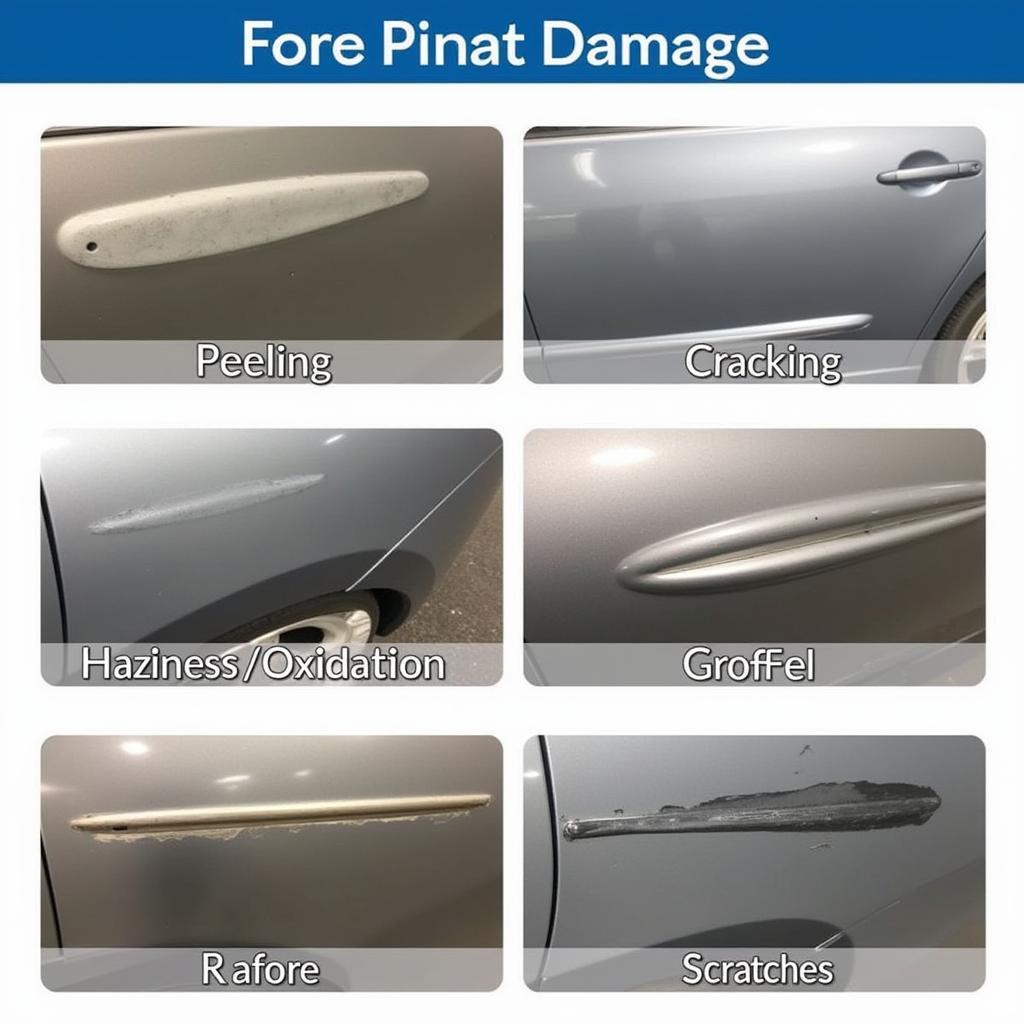 Different Types of Clear Coat Damage on a Car