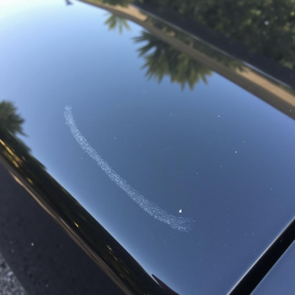 Identifying Clear Coat Scratches on Car Paint