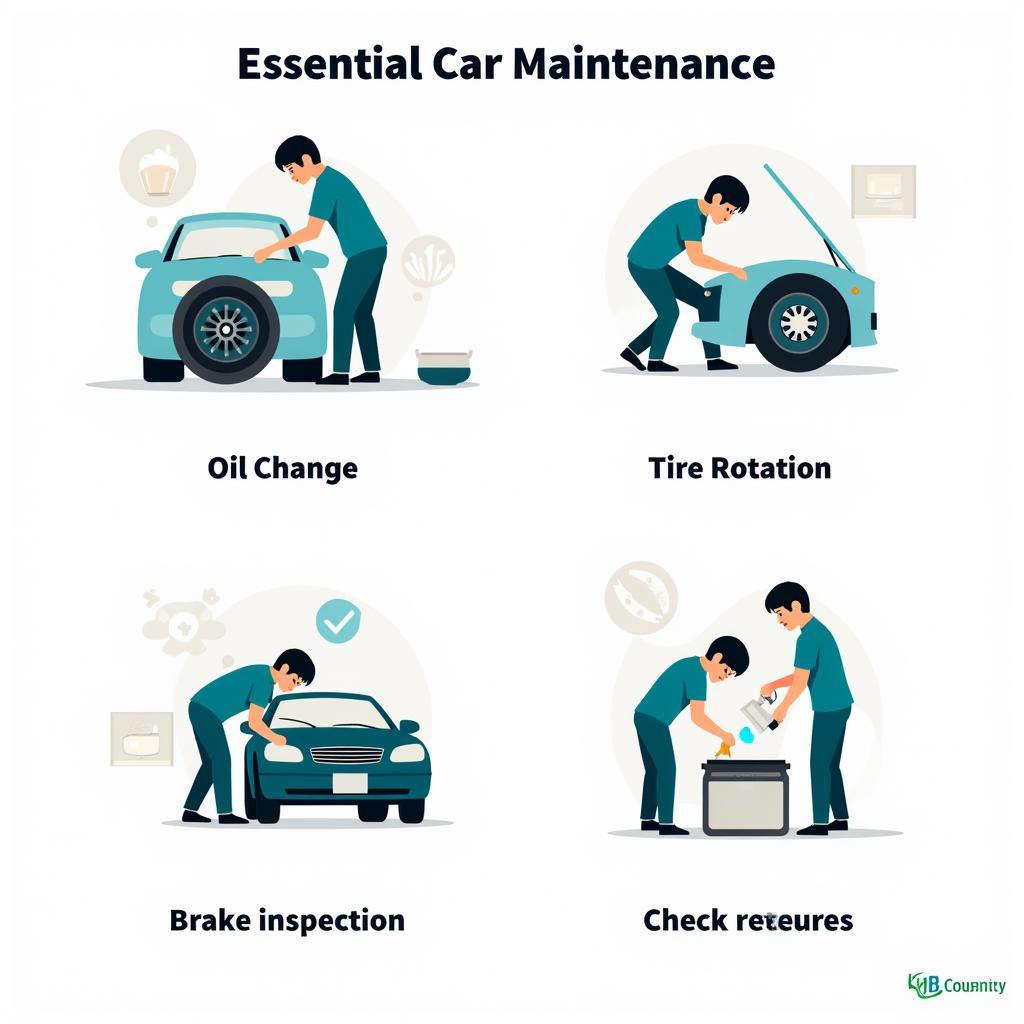 Essential Car Maintenance Tasks Performed