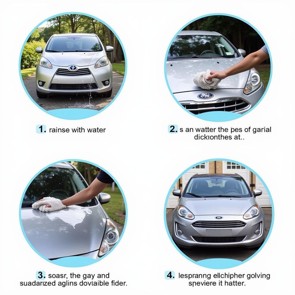 Exterior Car Cleaning Process