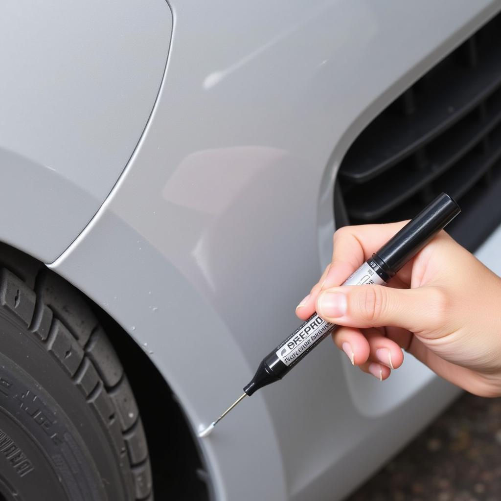 Applying Touch-Up Paint to Car Bumper