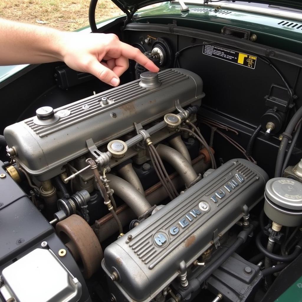 Checking Fluids in a Healey