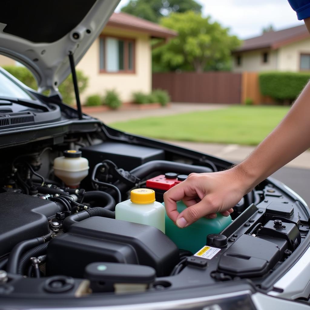 Checking Car Fluids in Hilo