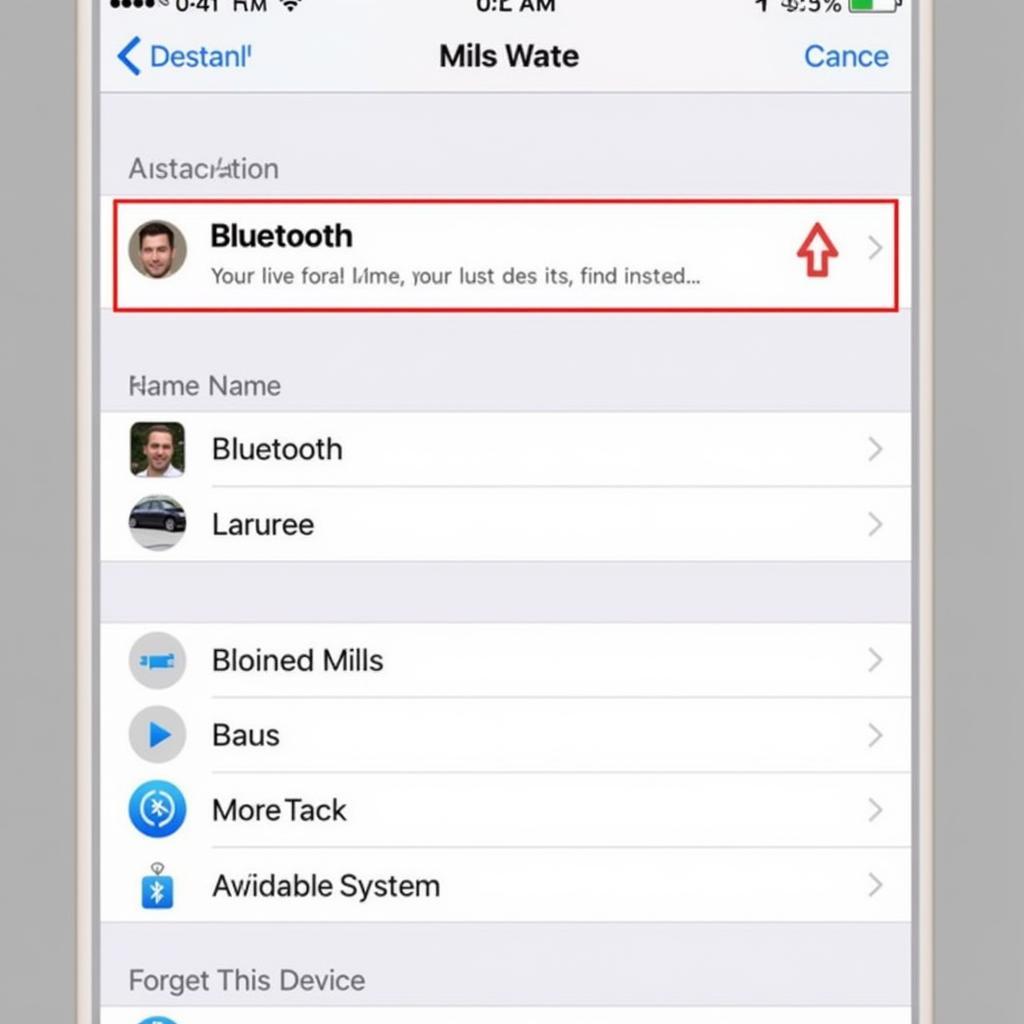 iPhone 5 Bluetooth Car Settings Screen