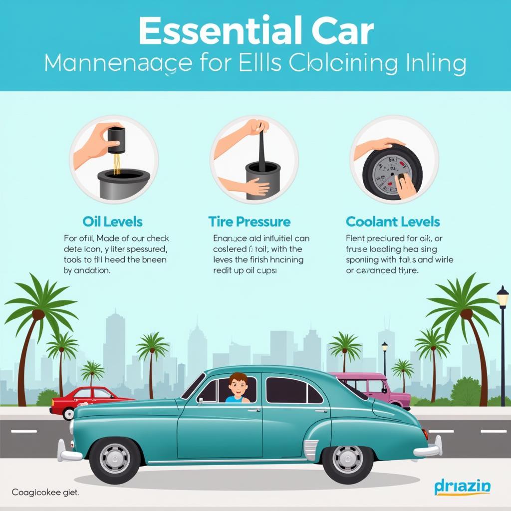 Los Angeles Car Maintenance Essentials