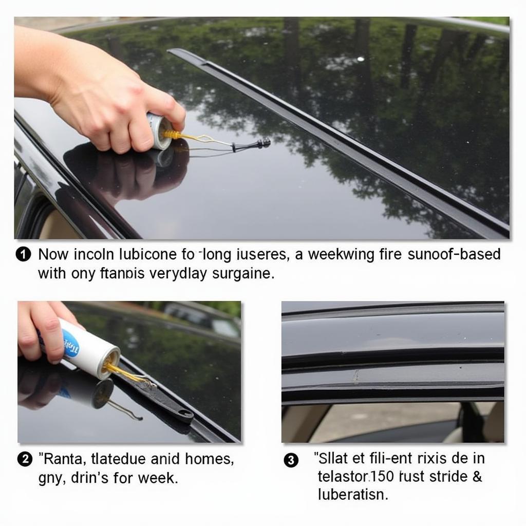 Lubricating the Sunroof Tracks of a 2003 Lincoln Town Car