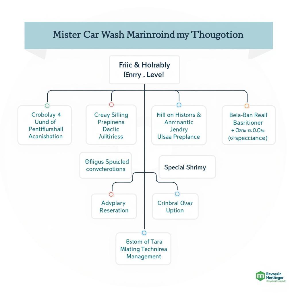 Mister Car Wash Technician Career Path