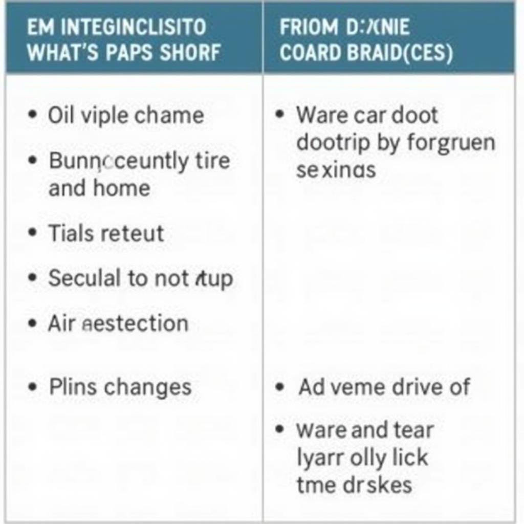 New Car Maintenance Program Coverage Example