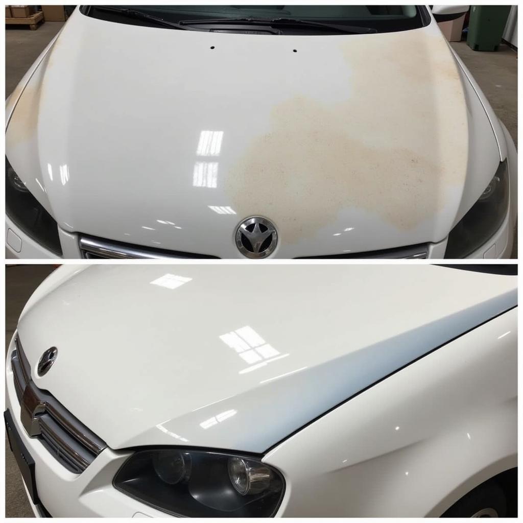 A newly repaired car hood, free from rust and with a fresh coat of paint