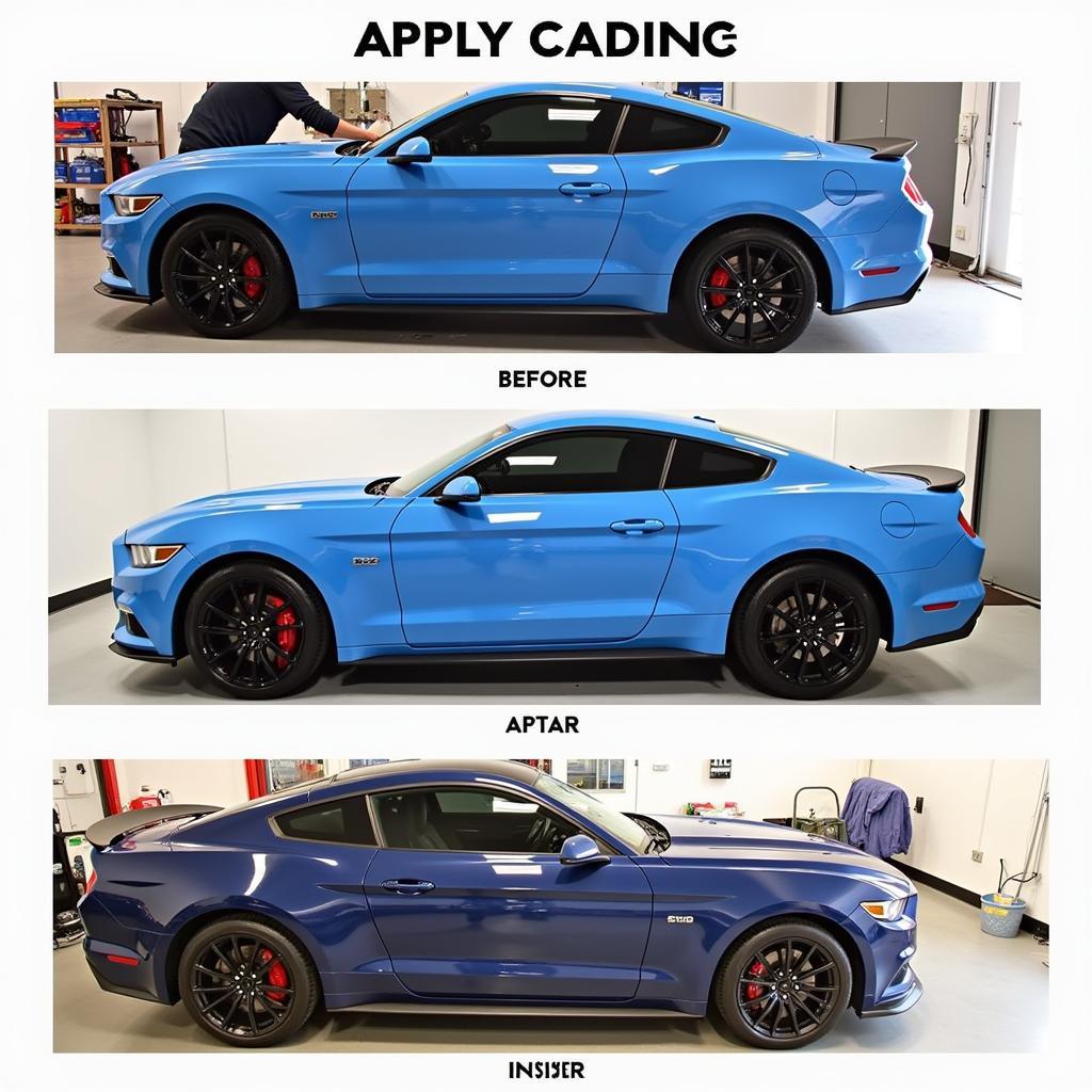 Applying Protective Car Coating