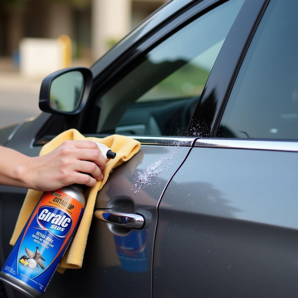 Safely removing bird droppings from car paint