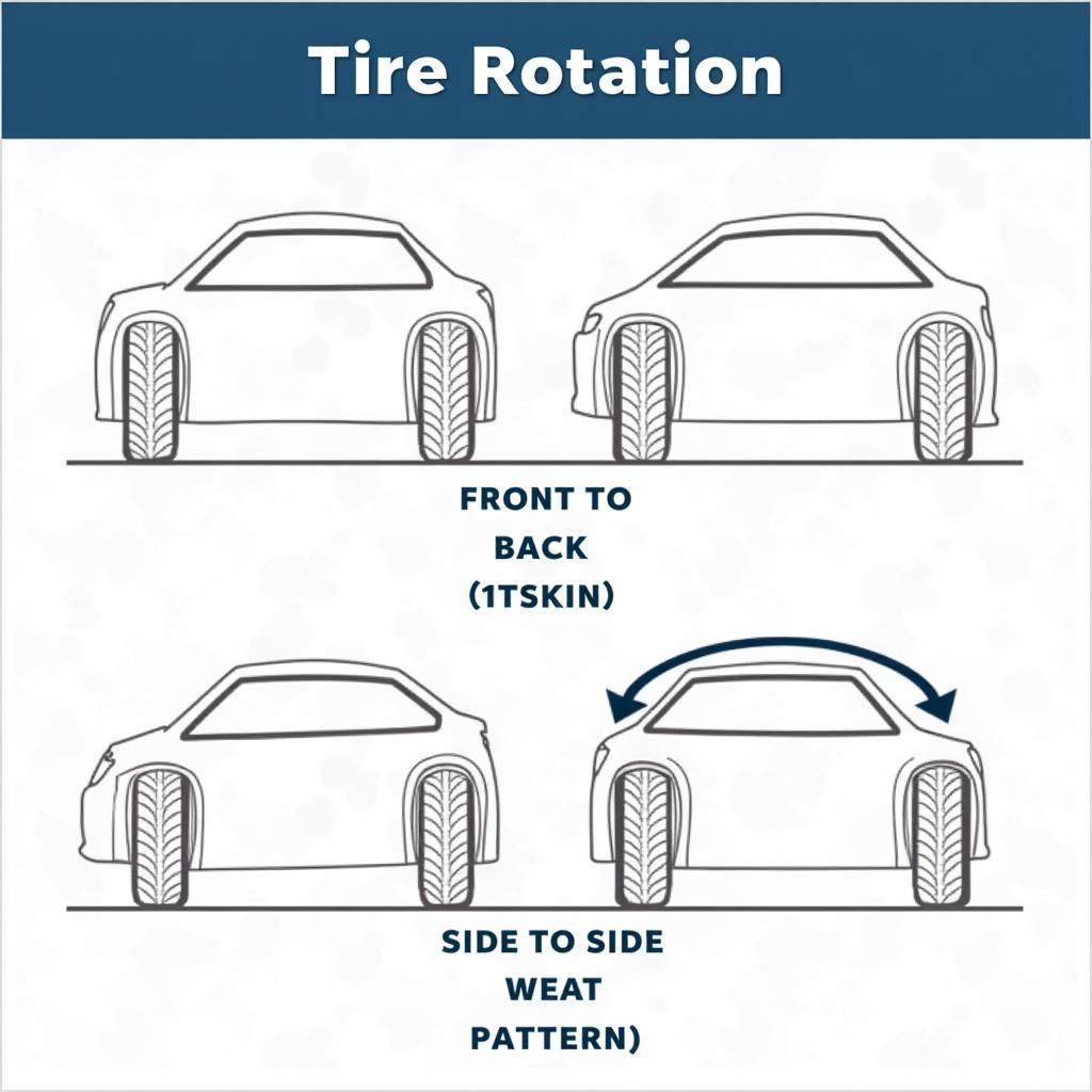 Tire Rotation Diagram