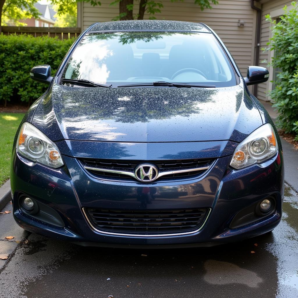 Regular car wash maintenance helps preserve the car's paint finish.