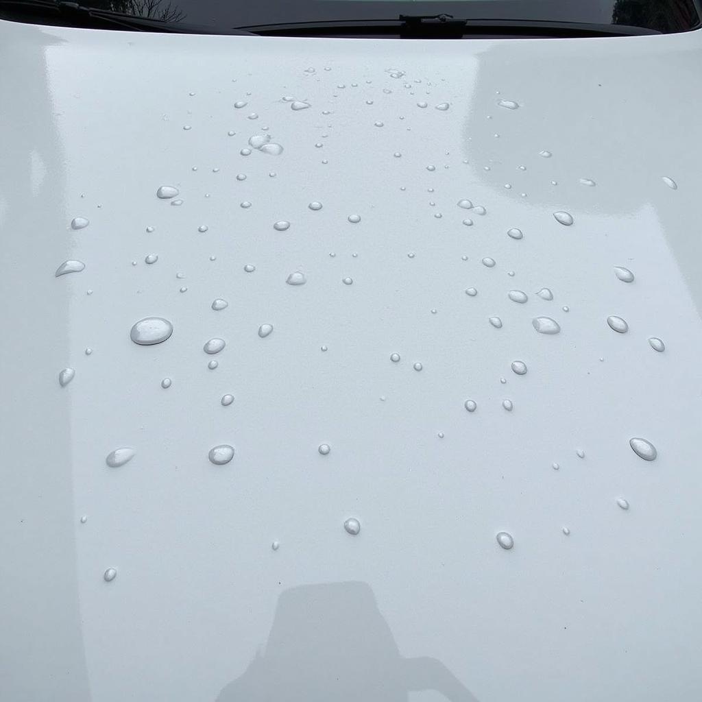 Car roof with multiple dents from hail damage