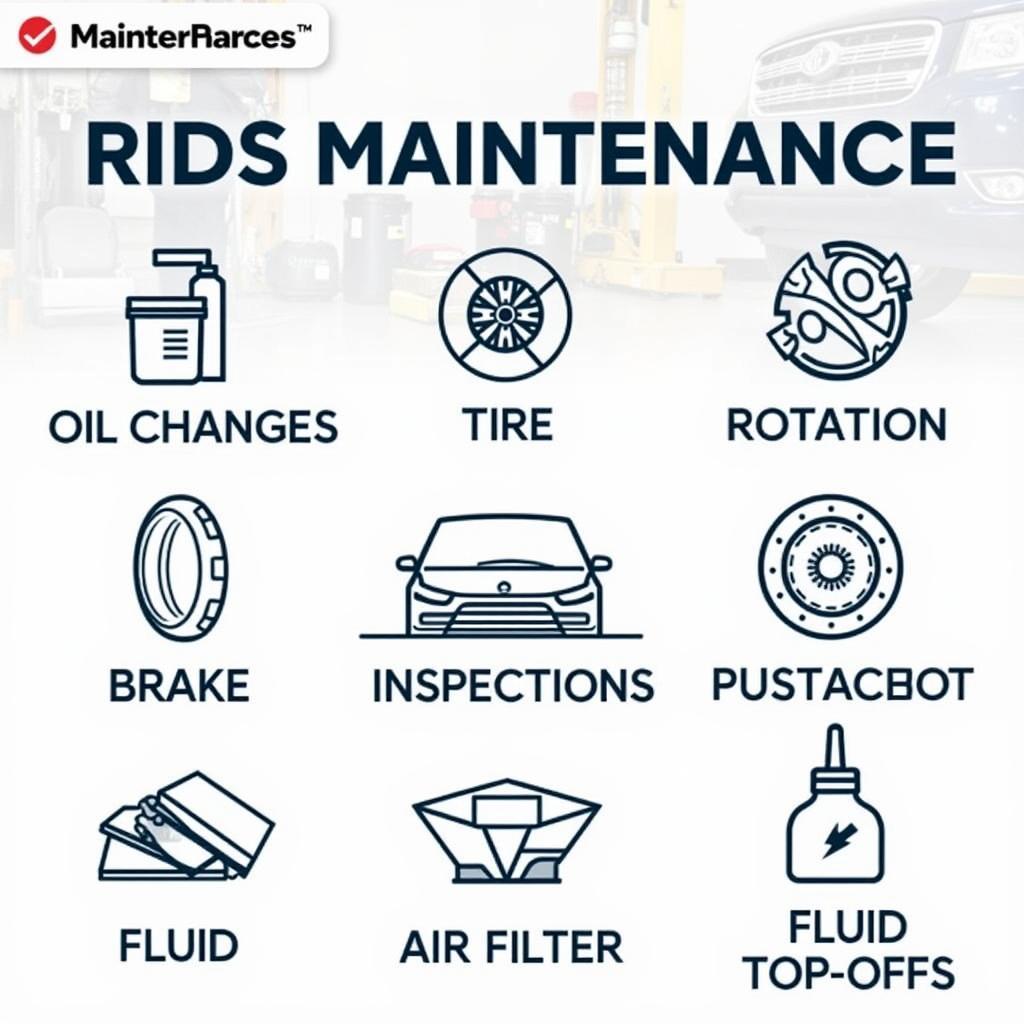 Essential Car Maintenance Tasks