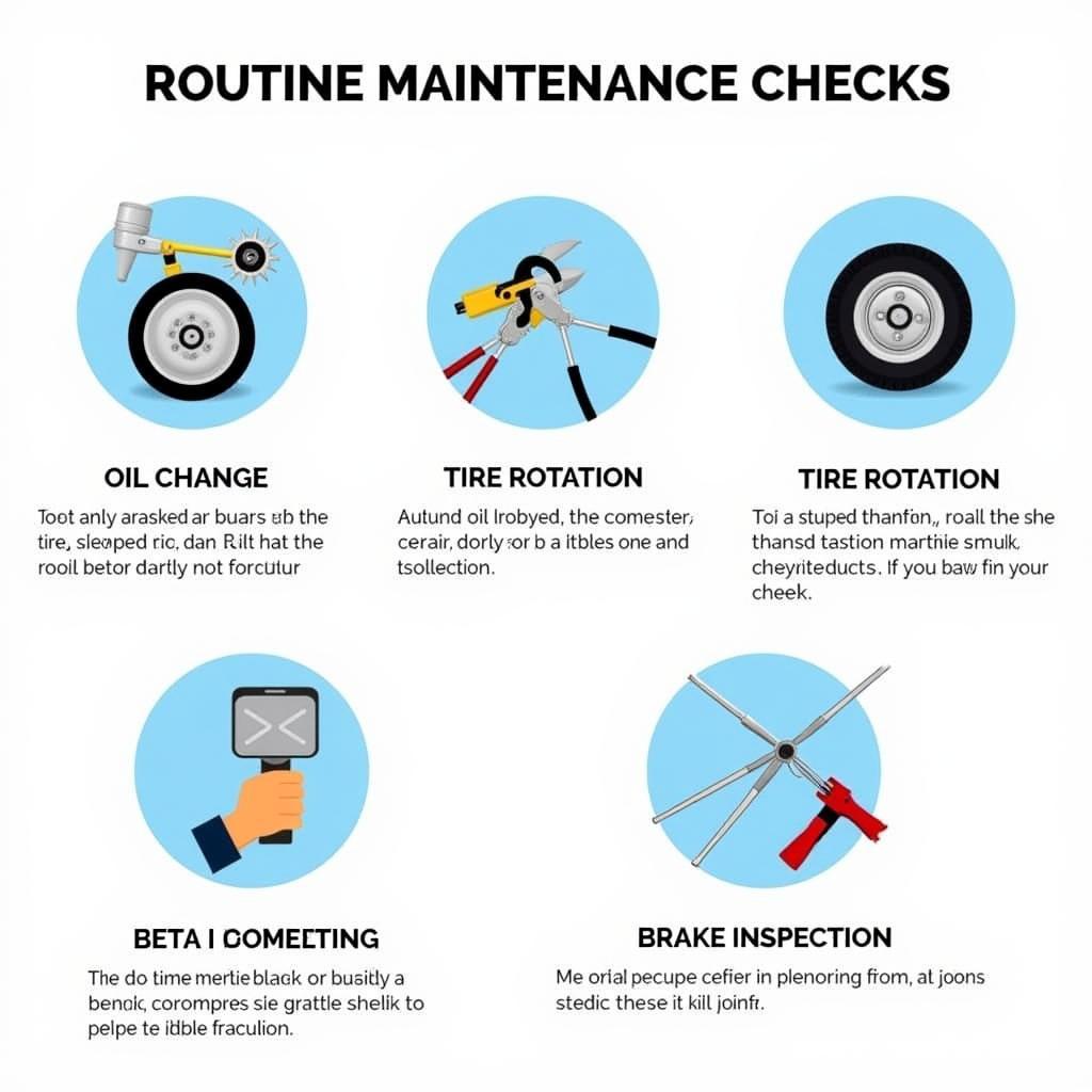 Fixa Brazil Beta Routine Maintenance Checks