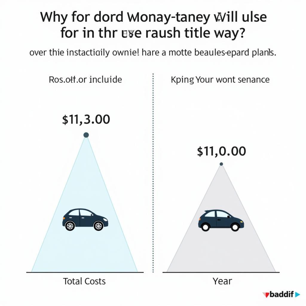 Long-Term Car Ownership Costs