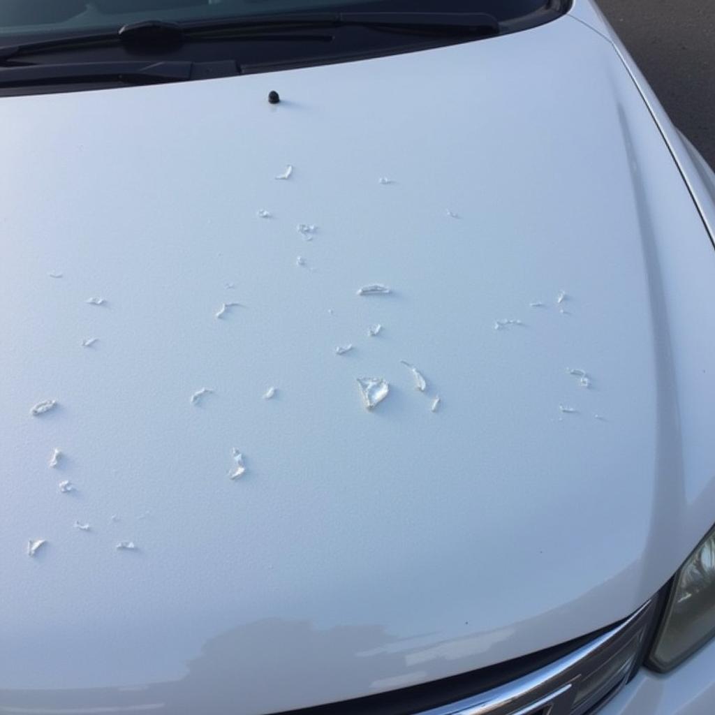 Assessing Minor Hail Damage on Car