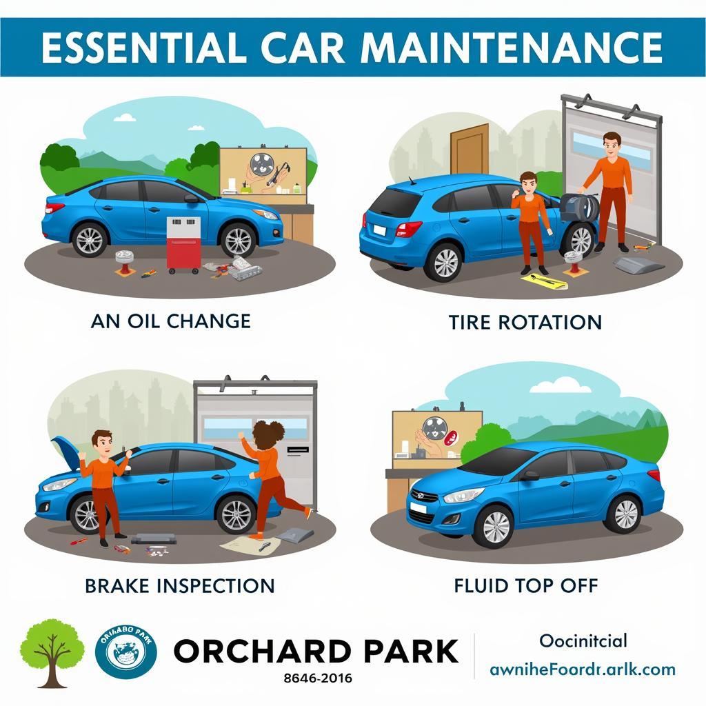 Essential Car Maintenance Tasks in Orchard Park