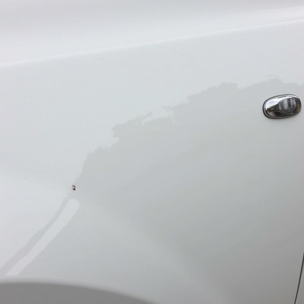 Polished White Car After Paint Chip Repair