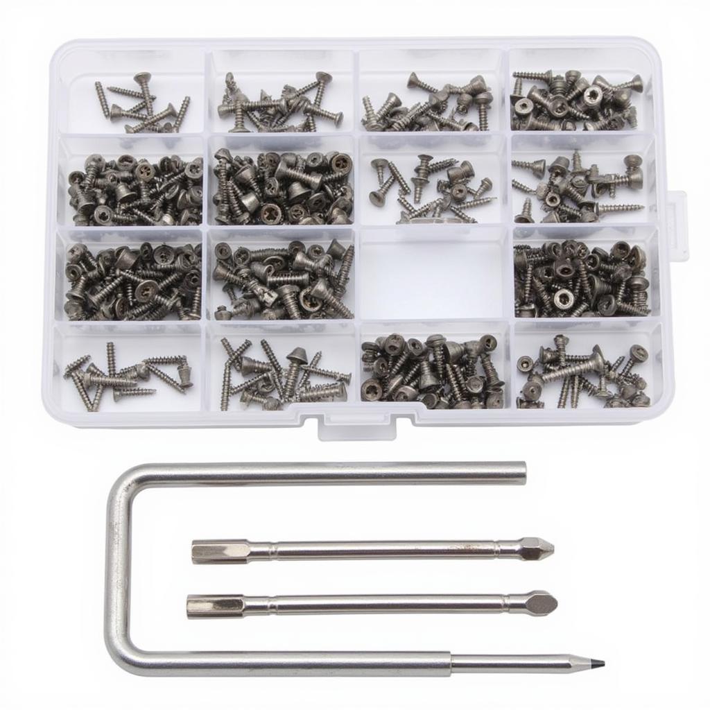 Assorted RC Car Screws and Tools