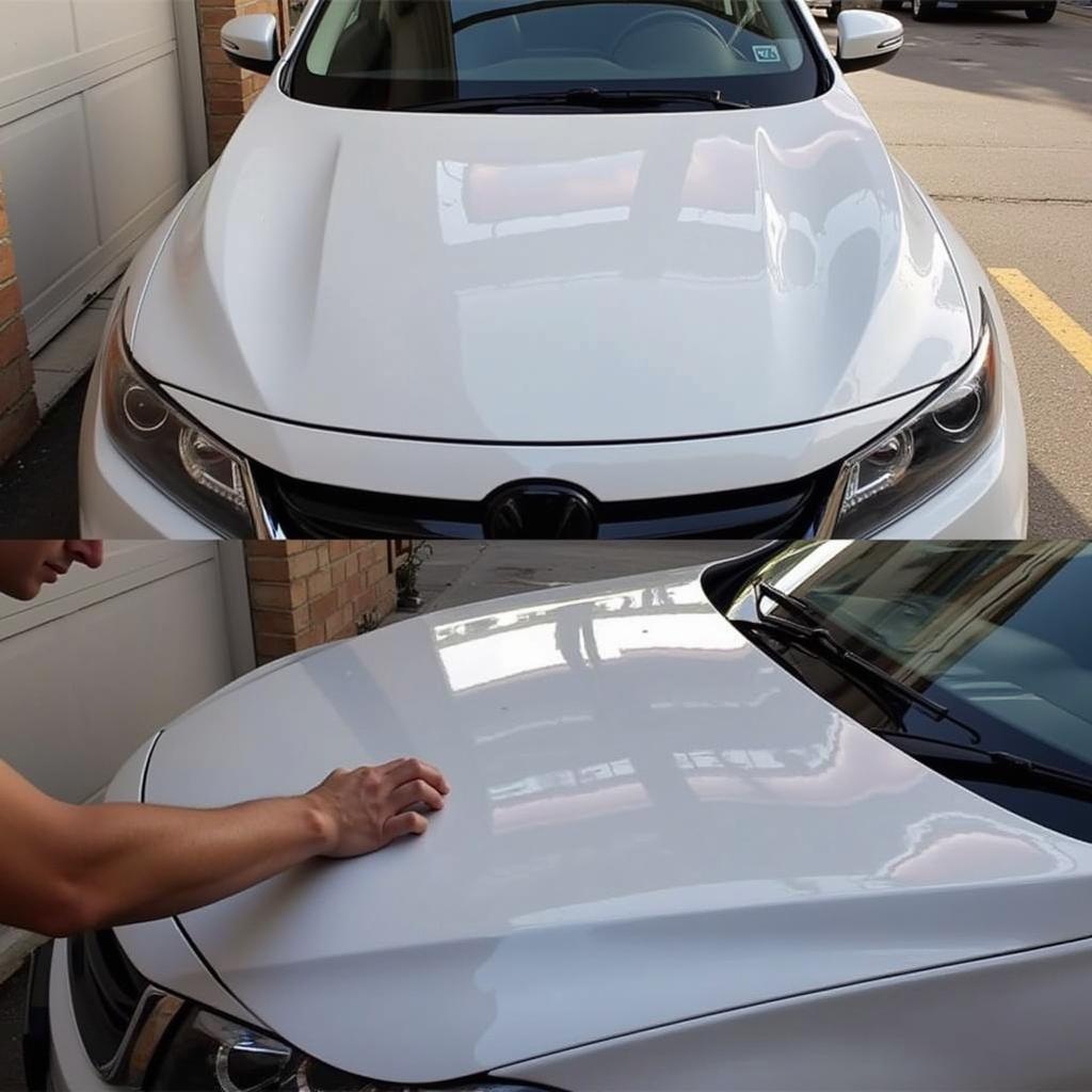 Applying paint protection film to a car's hood