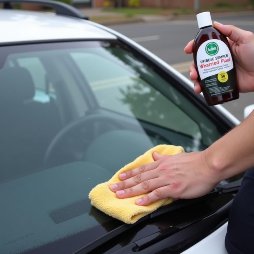 Cleaning the Windshield Chip