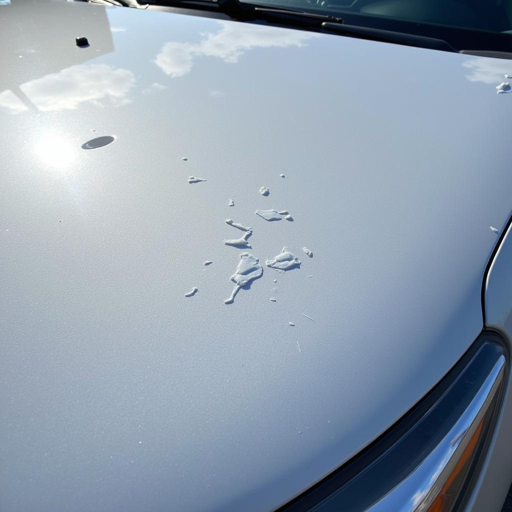 Close-up of hail damage on a car's hood